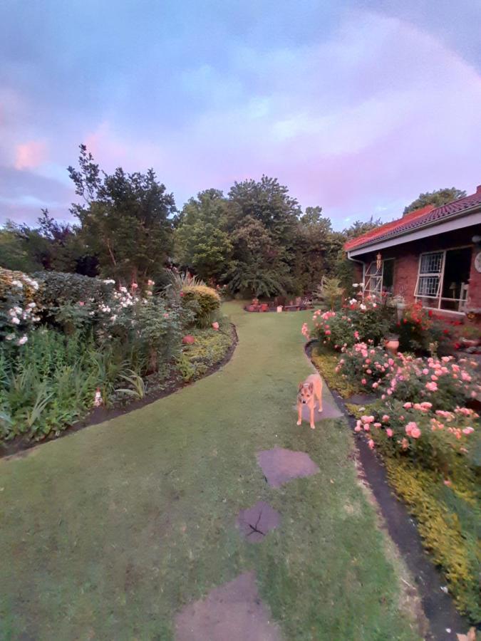 Amani Guest House Clarens Εξωτερικό φωτογραφία