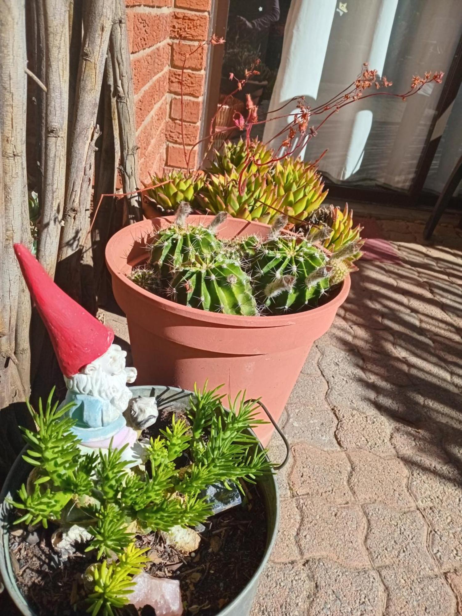Amani Guest House Clarens Εξωτερικό φωτογραφία
