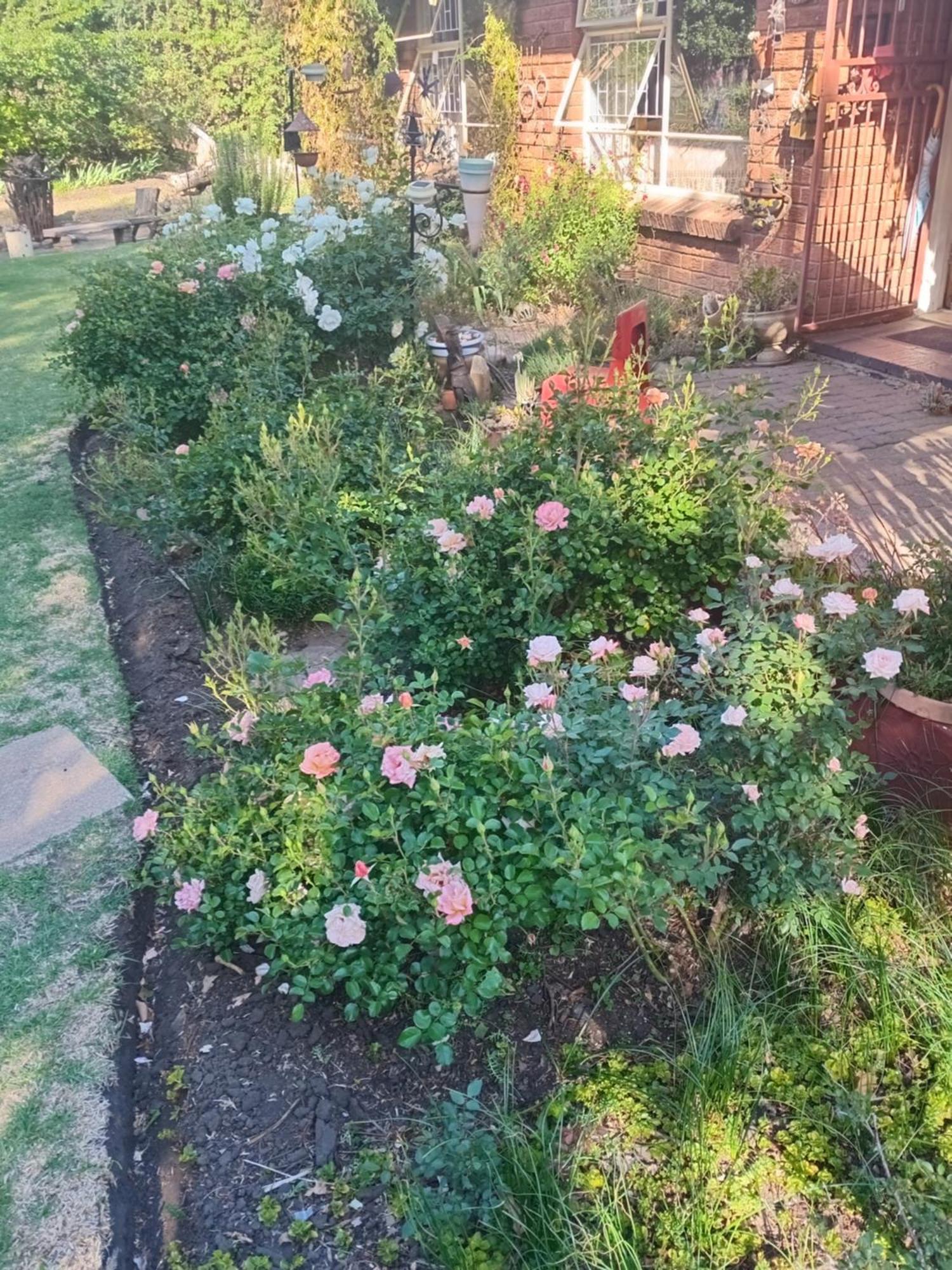 Amani Guest House Clarens Εξωτερικό φωτογραφία